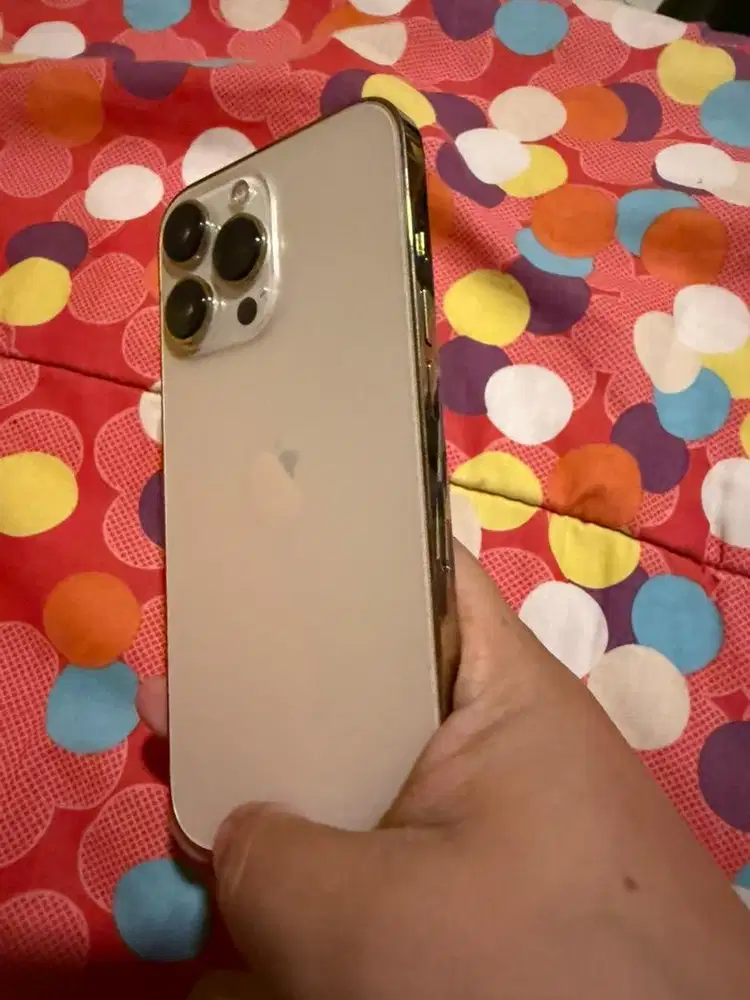 Iphone 13 pro internal 512 GB gold Inter