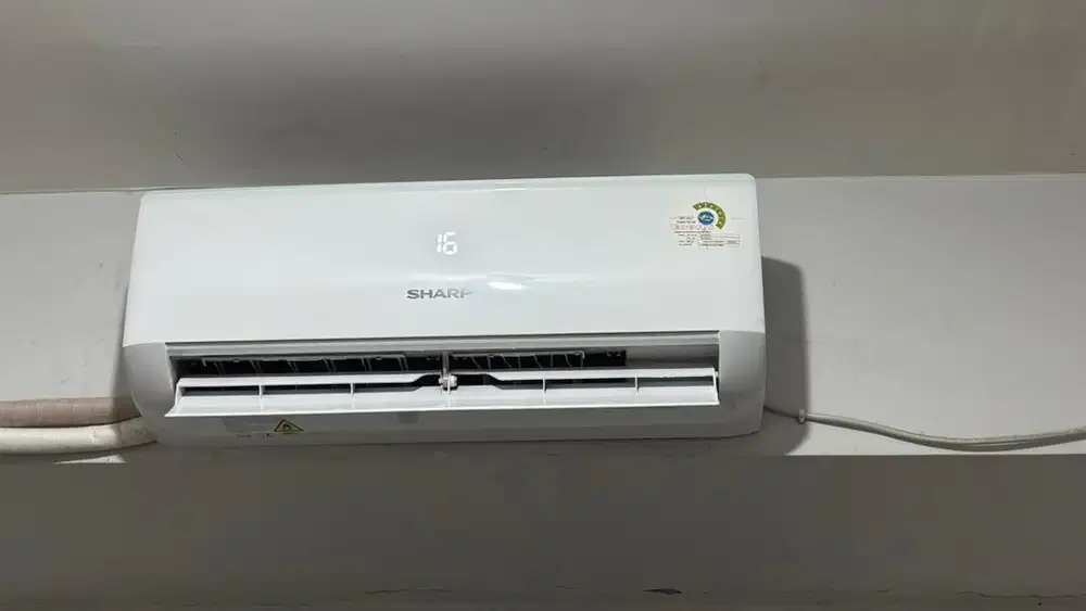 AC Sharp 1/2 PK Second