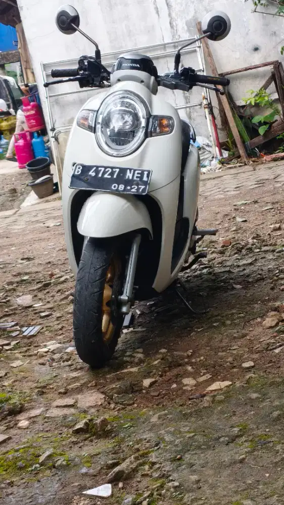 Honda Scoopy Donut 2017