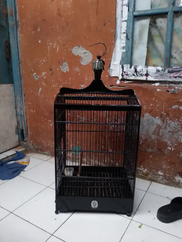 kandang no2 masih layak pakai