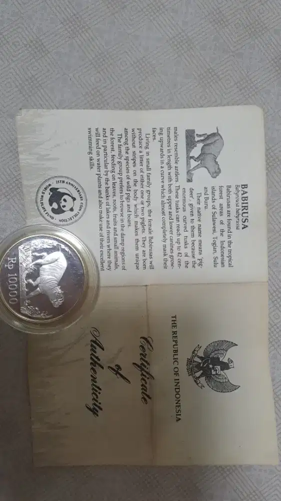 Uang Limited babi rusa