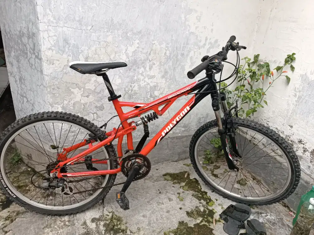 Sepeda polygon broadway