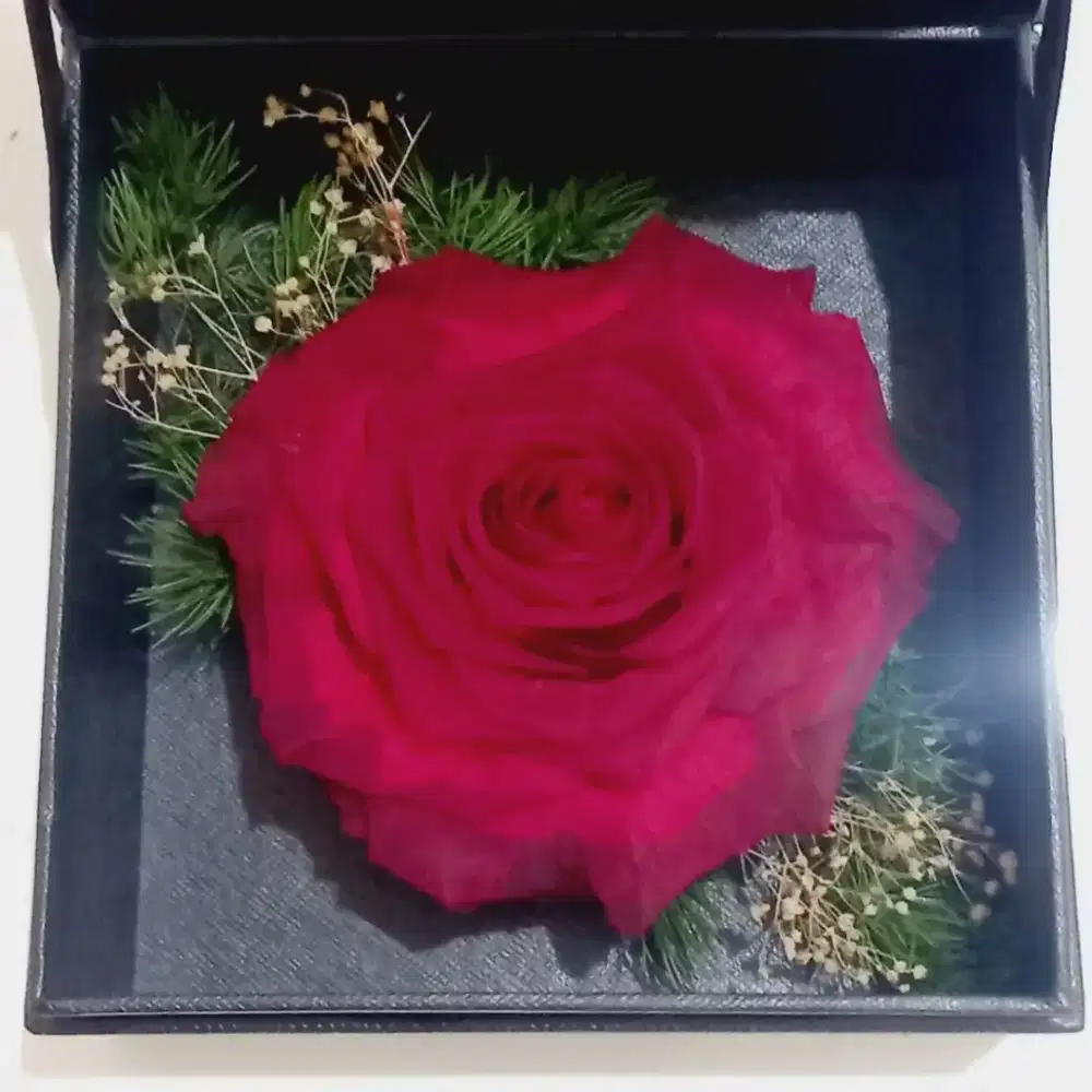 Preserve Mawar Rose Bunga Kering Original