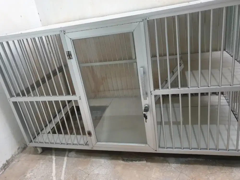 Kandang Kucing besar