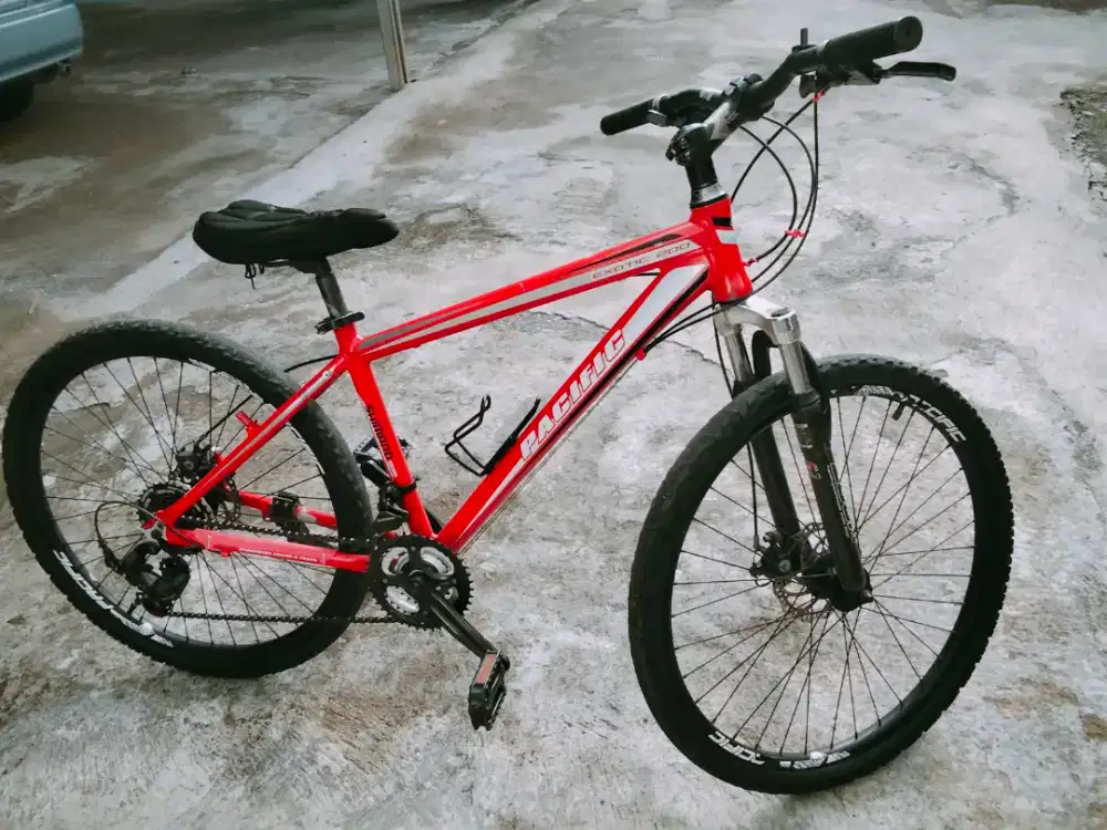 MTB Pacifik frame alloy