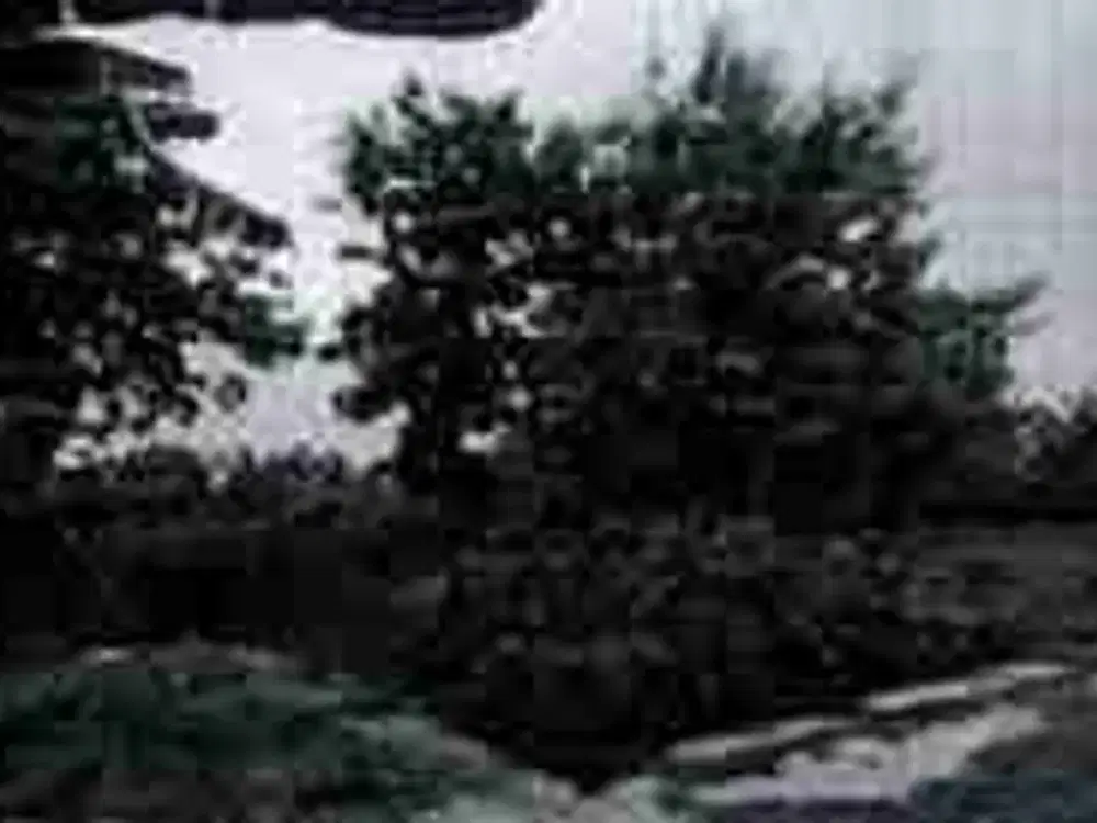 Dijual Via Lelang Tanah Jl. Desa, Ds. Sidokumpul Gresik