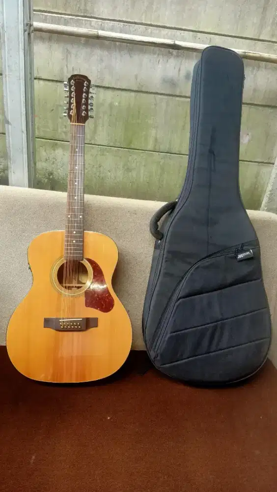 Aria dreadnought 12 string's rare item