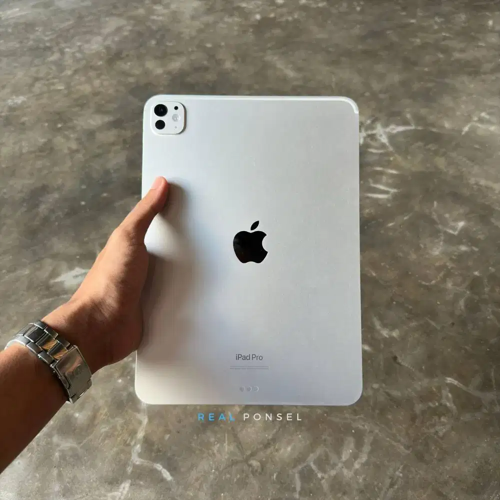 iPad Pro M4 256 11 iBox