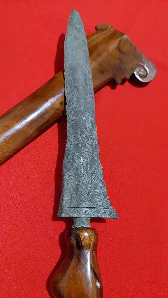 Bethok Sepuh Tindih Langka