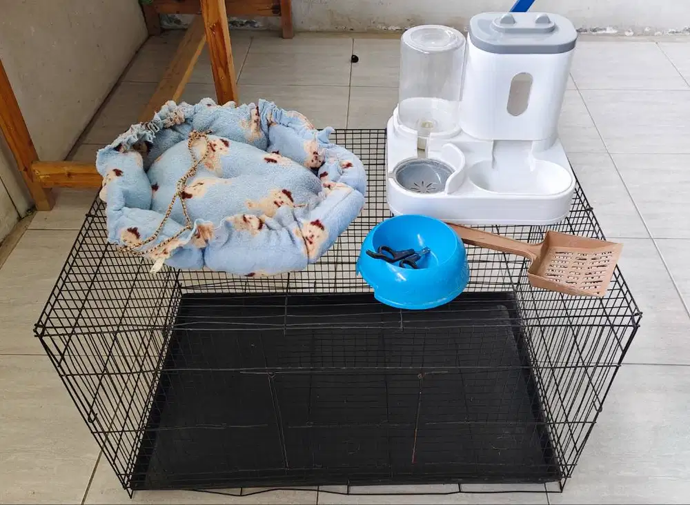 Set Perlengkapan Pelihara Kucing