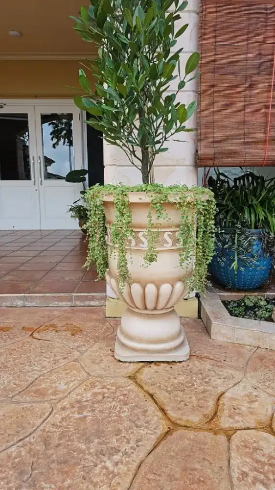 Pot Klasik dan Minimalis