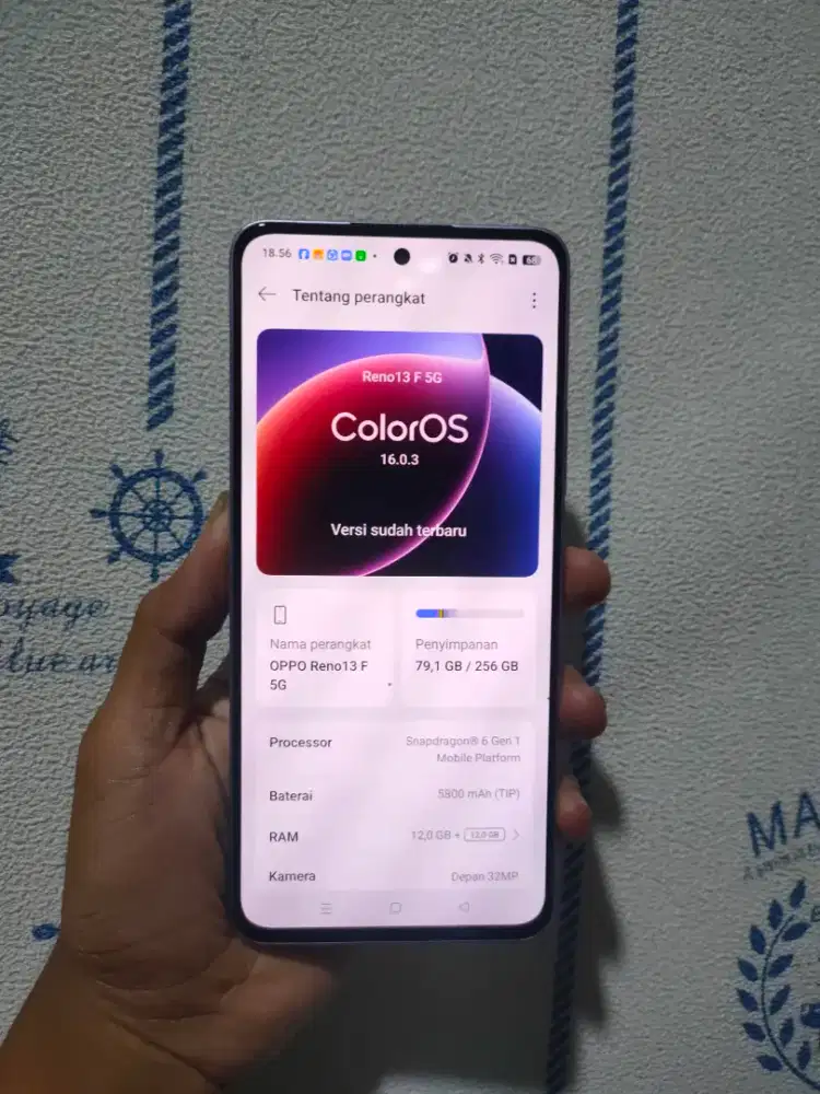 Oppo Reno 13F 5G 12/256