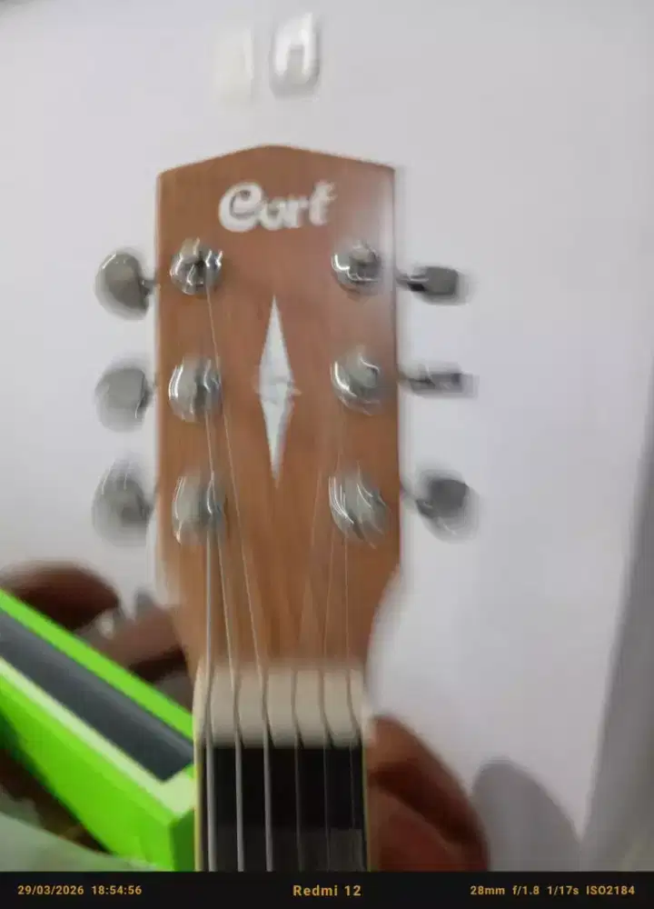 Cort acustik gitar
