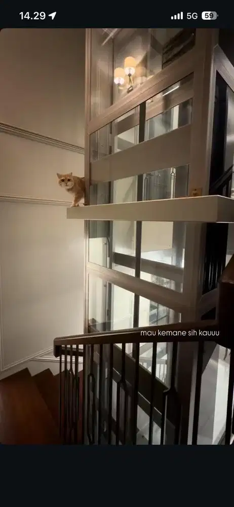 ART & DRIVER ANAK SEKOLAH