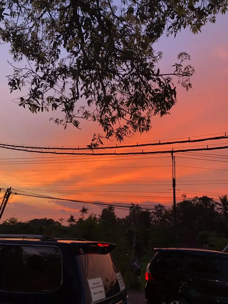 Dibutuhkan pengasuh part time