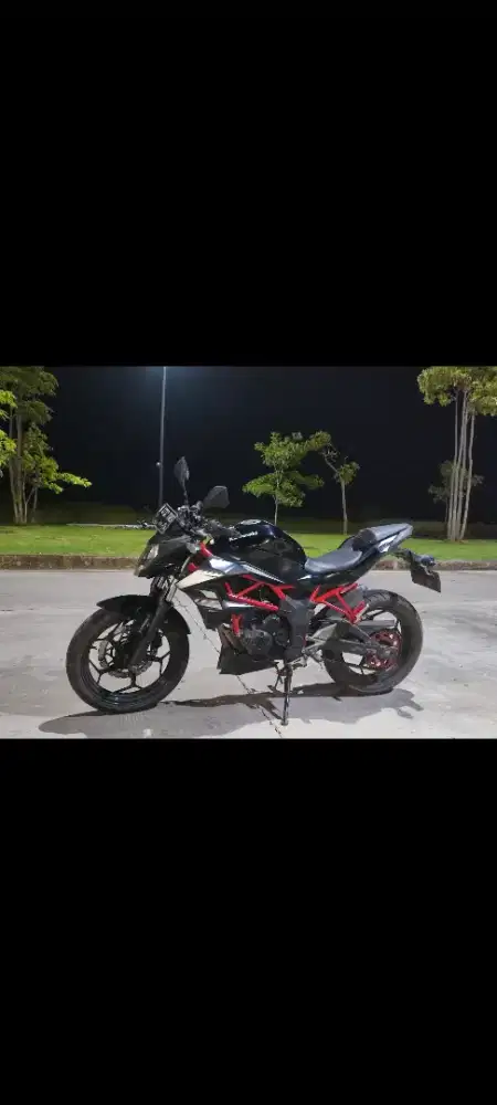 Ninja,ninja mono,z250sl