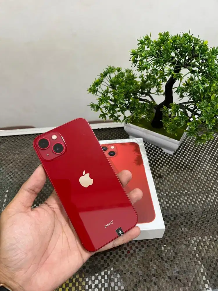 iPhone 13 256 all operator