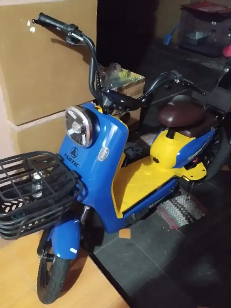 Sepeda listrik merk exotic Dijual