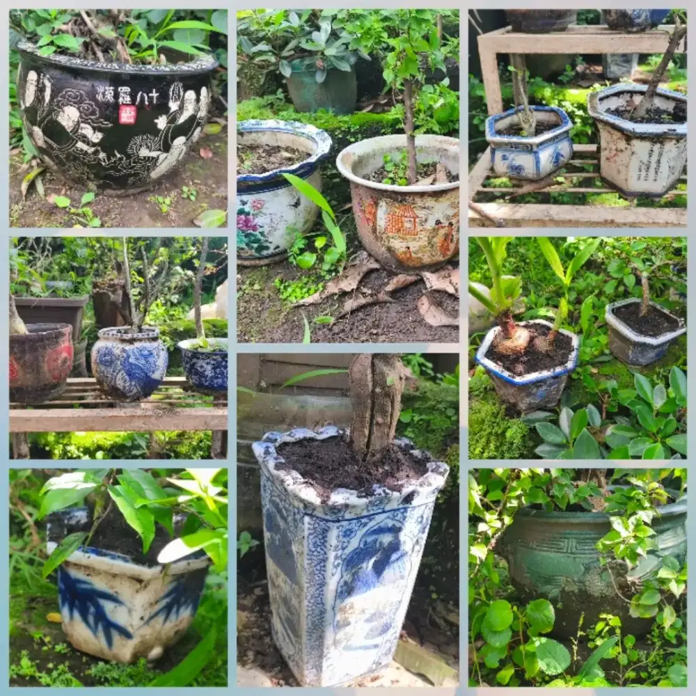 Pot keramik antik sudah ada banyak