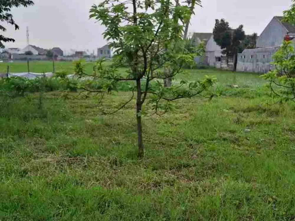 Tanah Murah Dekat Kampus UNIKAMA Malang