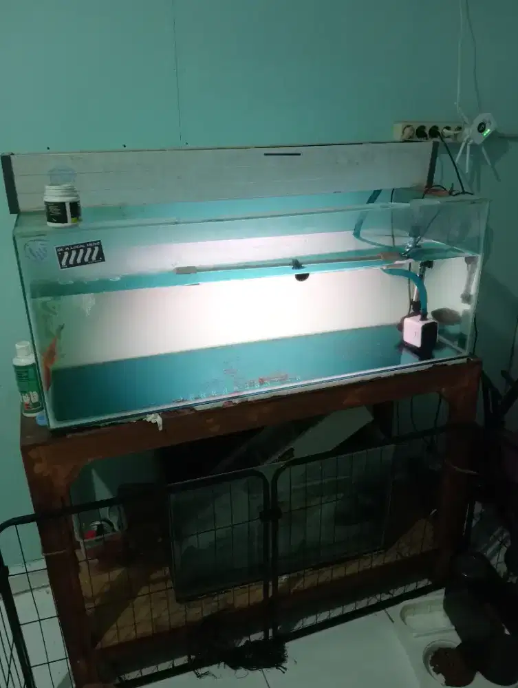 Aquarium besar 1 set kondisi bagus free arwana