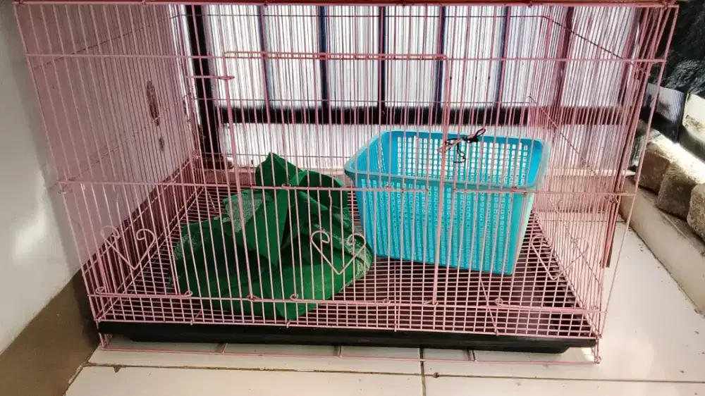 Kandang Kucing besar