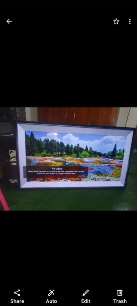 TELEVISI LG OLED 55B9PTA