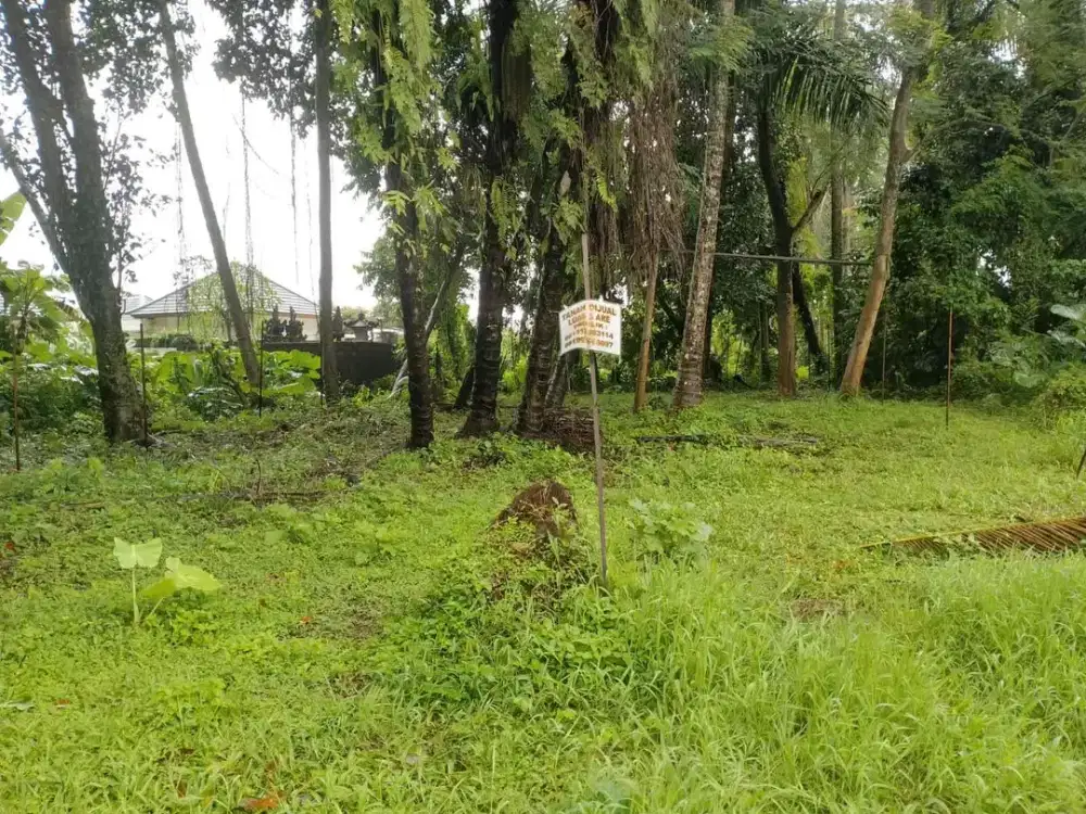 Tanah di Singakerta, Ubud, Bali!
Lokasi: setelah jembatan Nyuh Kuning, Ubud