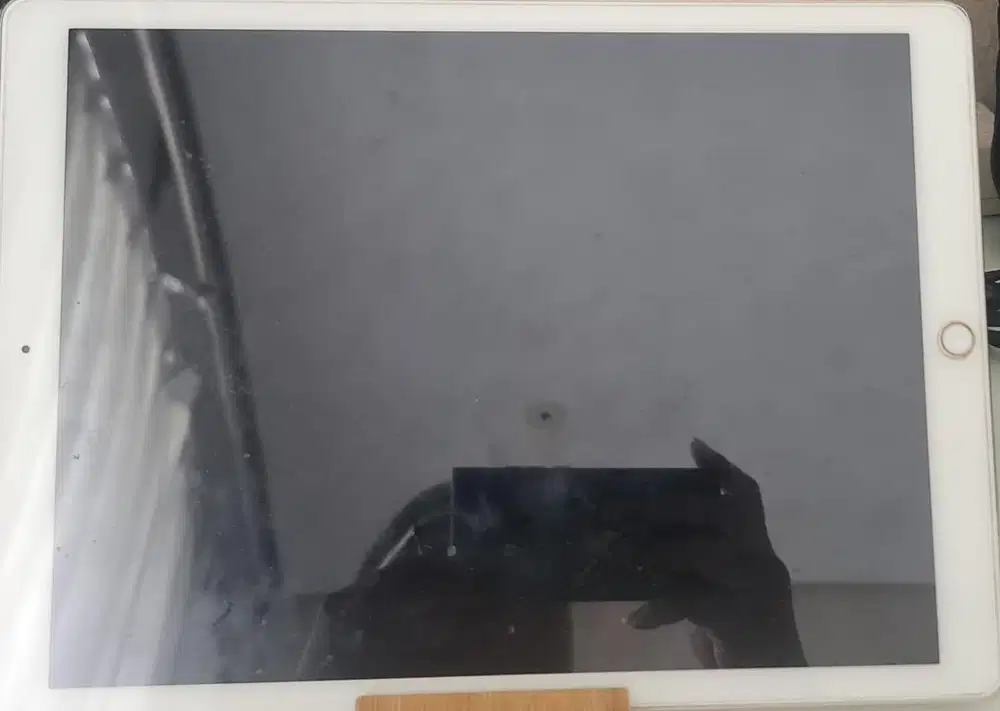 Ipad Pro 1st Gen Cellular 128GB