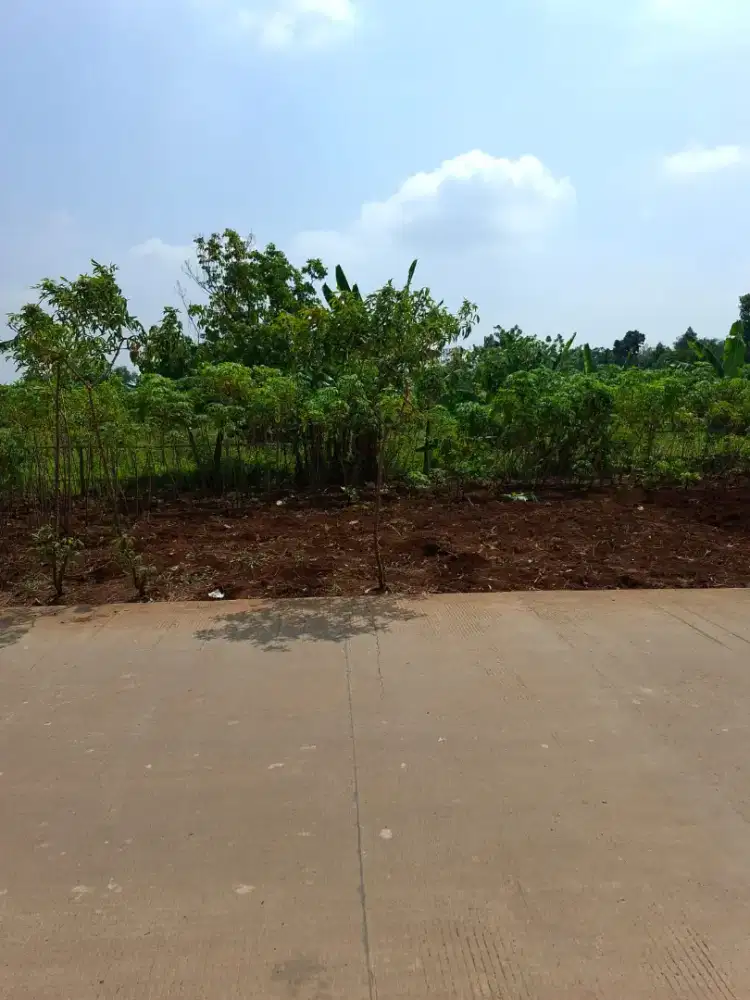 DI JUAL TANAH PREMIUM DI TEMBALANG DEKAT UNDIP