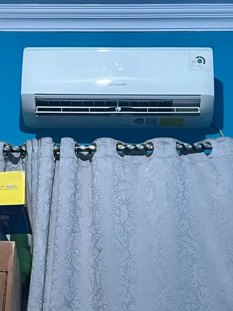 Ac sharp 1/2 pk second