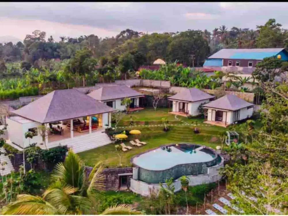 Villa for Sale
in Payangan, Ubud.
Surrounded by orange plantations with forest backdrops.
