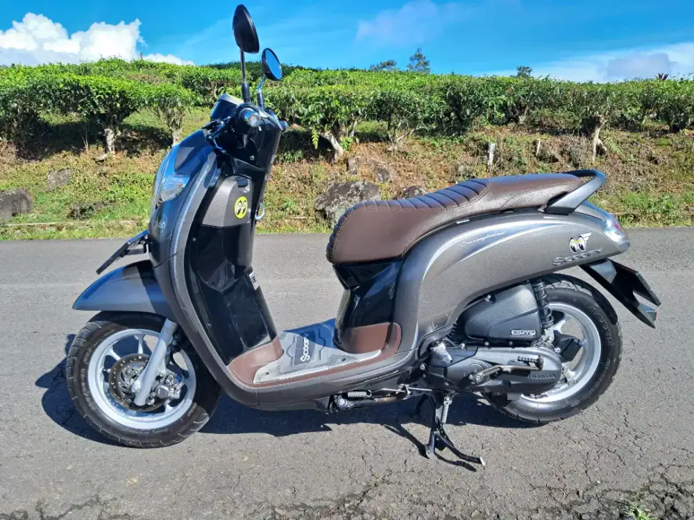 Scoopy donat 2018 TT/BT