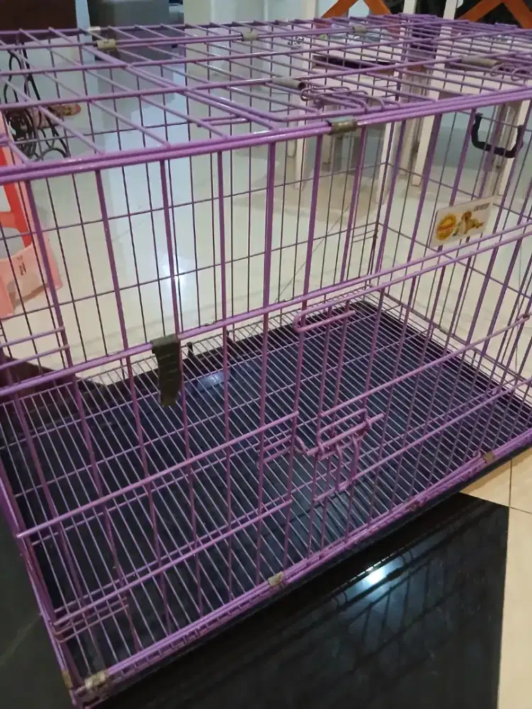 Kandang kucing octagon