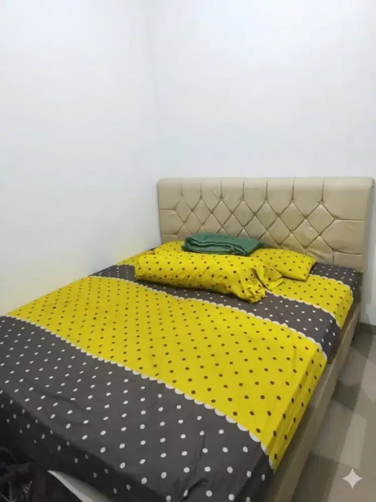 kasur springbed (merek in the box) + dipan (