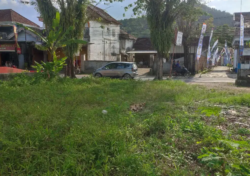 Dijual Tanah Strategis Pinggir Jalan raya Pantai Prigi
