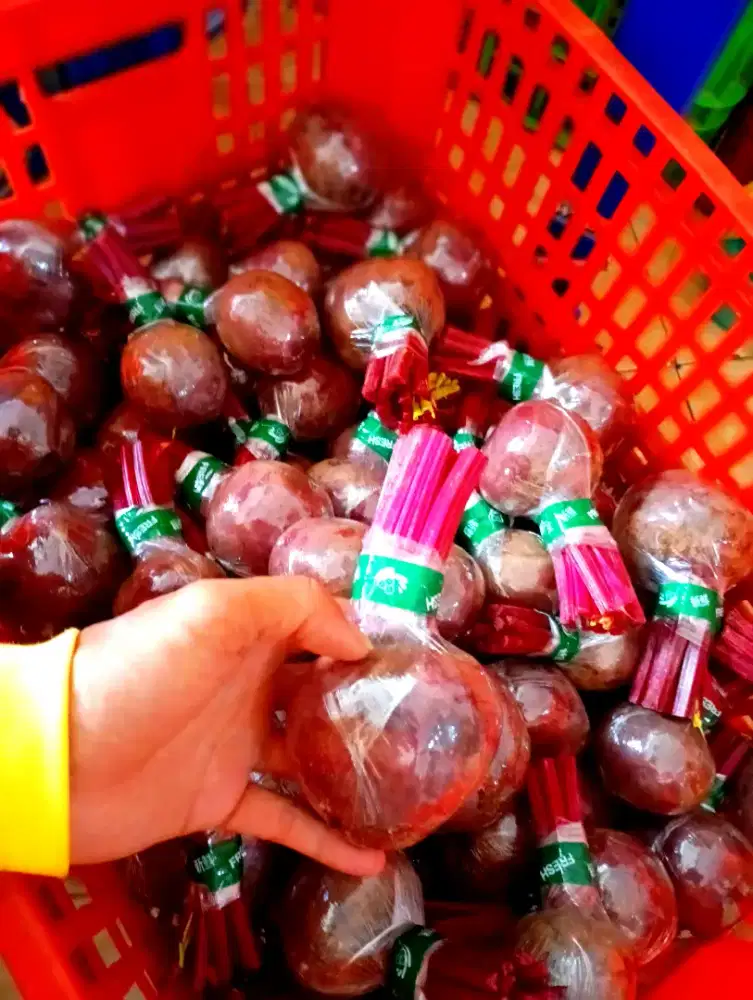 Buah bit fresh spek market