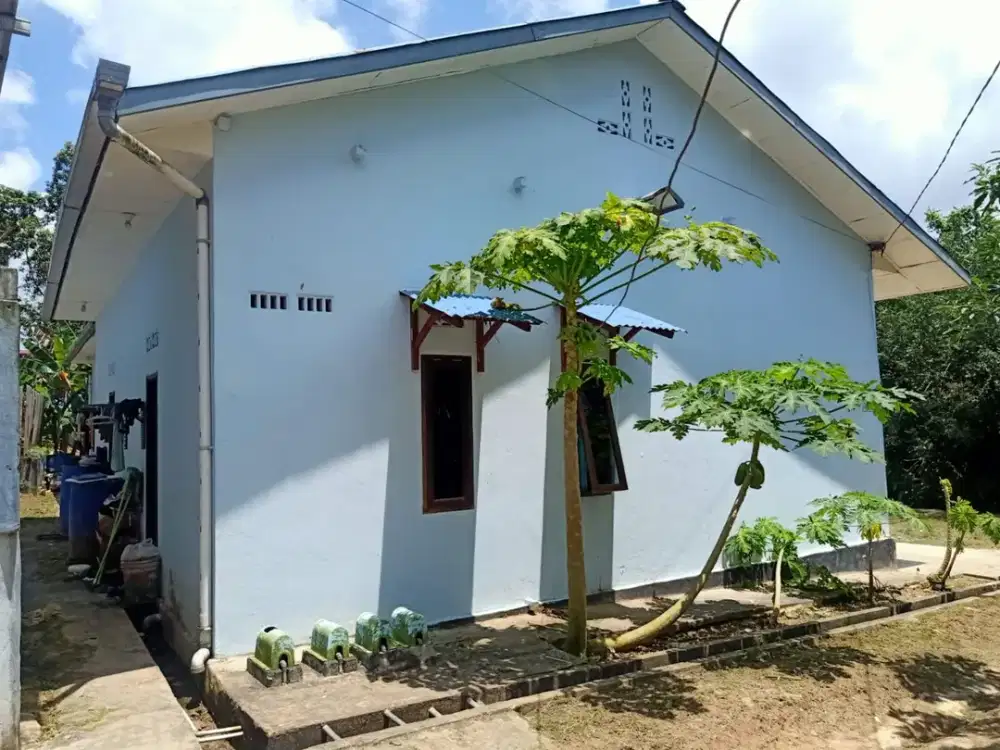 Passive Income Menanti! Rumah Kos Strategis di KM 5 Balikpapan