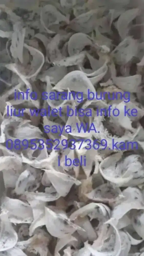Jual beli  siapa punya info