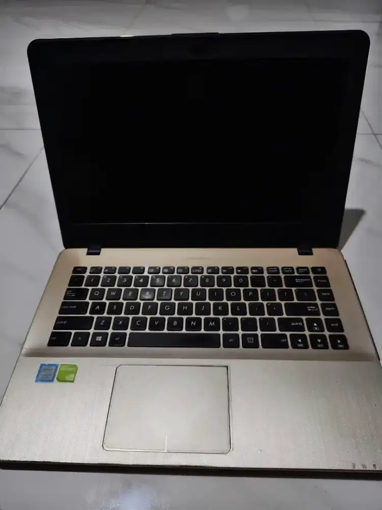 Asus Vivobook (Upgrade)