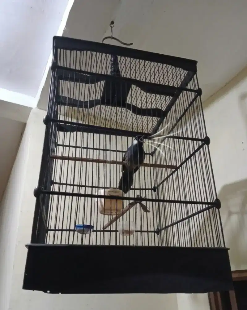 Poksay hongkong gacor