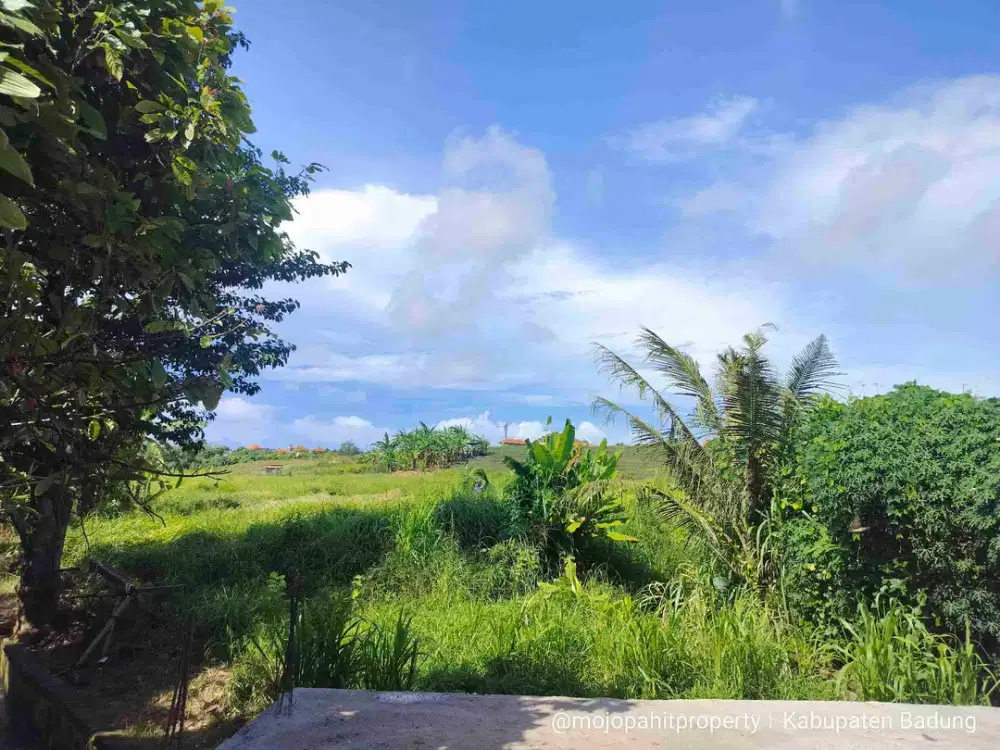 Di jual tanah di bawah harga pasaran luas 2.5 are di cempaka mas dalung Kuta Utara Badung