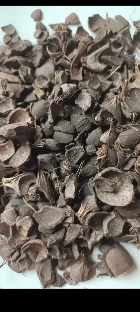 Cangkang Sawit / Biomas