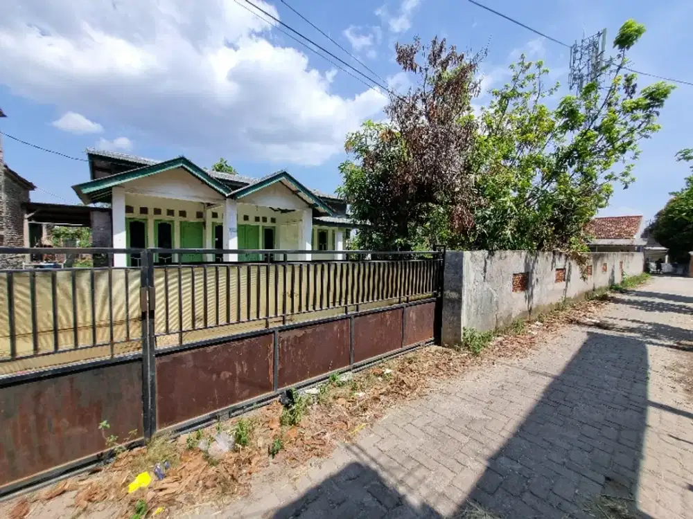 rumah kampung dan kebun luas 1200 m2 cocok buat villa atau gudang deket moss serang