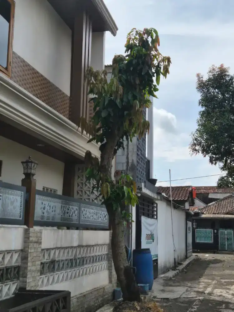 Tukang bangunan dan tebang pohon