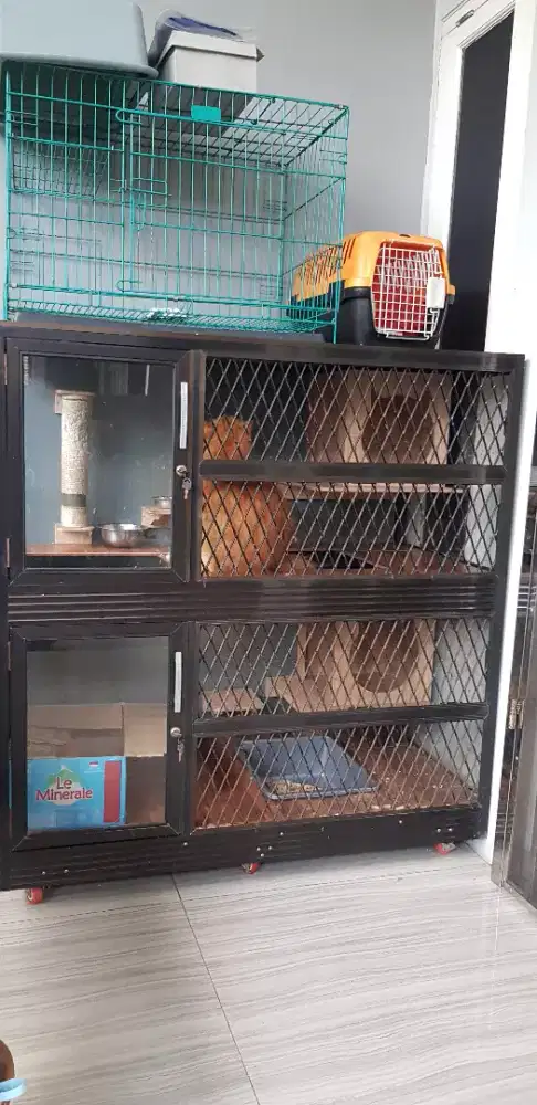 Kandang kucing kualitas premium