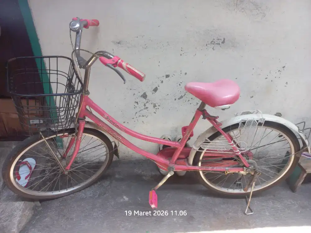 Dari pada enggak kepakai mau di jual ajah sepeda