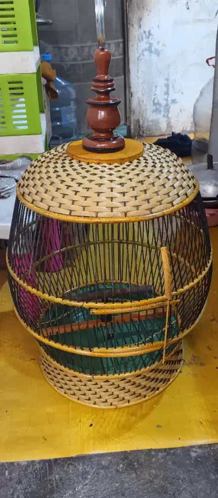 Sangkar perkutut BARU tebok lepas