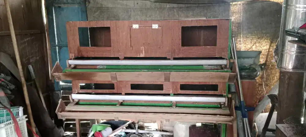 Kandang burung puyuh /ayam