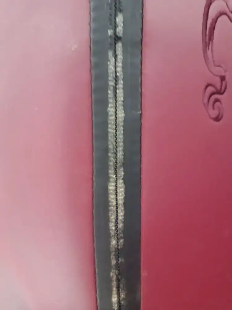 Secretlab titan Evo harry potter